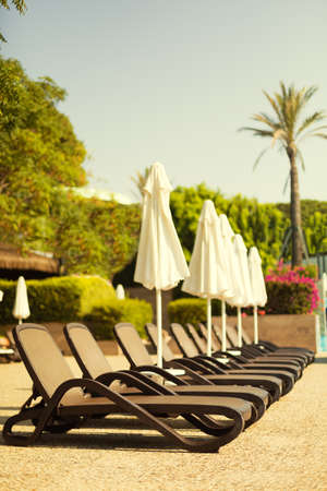 A row of sunbeds near a swimming pool at a tropical resort. Shallow DOF, focus on the nearest sunbed, lightly tonedの写真素材