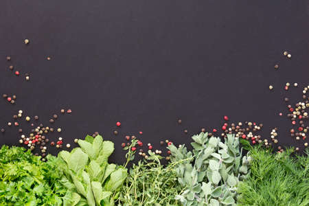 Dark background with fresh green herbs and mix of peppers at the bottom, Including mint, thyme, dill, oregano and parsleyの写真素材
