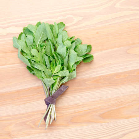 A bunch of fresh mint on a light wooden background. Square photoの写真素材