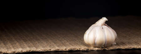 White garlic bulb on the dark background. Rustic surface. One bulb. Banner formatの写真素材