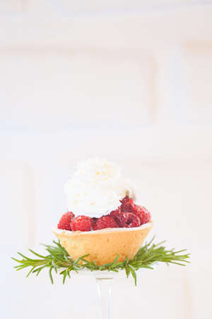 Raspberry tartlet with rosemary decoration on white background. High key image. Holiday season dessert with whipped cream. Holidays background. Warm color. Verticalの写真素材