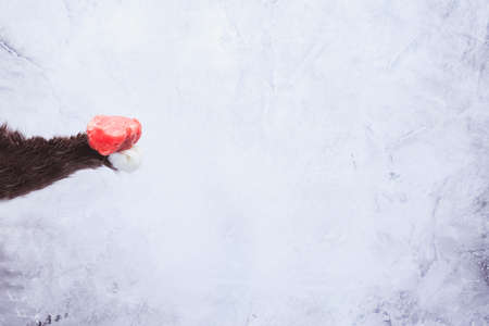 Go vegan! Concept of veganism. Vegan diet. Cat paw with meat. Grey background. Horizontalの写真素材