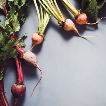 Mix of red and gold beets on grey background. Food background. Concept of healthy eating. Toned image. Squareの写真素材