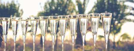 Many glasses of champagne or prosecco near resort pool in a luxury hotel. Pool party. Horizontal, banner format, toned imageの写真素材