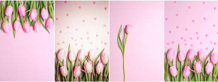 Collage of vertical pink tulips photos on the pink background. Flat lay, top view.  Valentines, spring and mother's day backgroundの写真素材