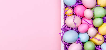 Multicolor eggs in a white tray. Creative Easter concept. Modern solid pink background. Horizontal, banner formatの写真素材