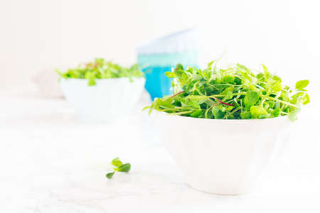 Mixed baby greens salad in bowl. Superfood snack concept. Horizontalの写真素材