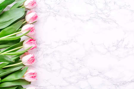 Pink tulips on white marble background. Spring and celebration concept. Copy space. Top view. Top view. Horizontalの写真素材