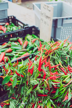 Hot red peppers at the summer outdoor farmers market. Healthy and local food and community conceptat...