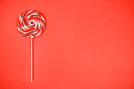 Big lollipop on solid pink background. Horizontal. Living coral theme - color of the year 2019の写真素材