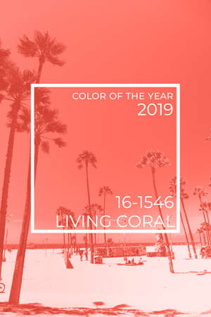 Tripical beach with palm trees. Holiday and vacation concept. Living coral toning - color of the...