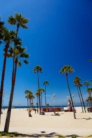 Tripical beach with palm trees. Holiday and vacation concept. California landscape. Verticalの写真素材