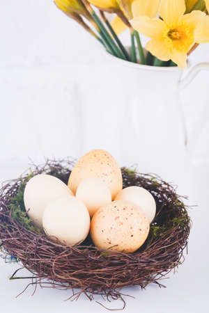 Jar with narcissuses and eggs at the white brick background. Spring and Easter concept. Vertical,...