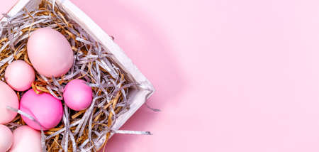 Eggs in a white tray. Creative Easter concept. Modern solid pink background.の写真素材