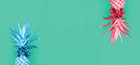 Creatively toned pineapples at the green solid drop with place for text. Trendy modern colorful background. Horizontal, banner formatの写真素材