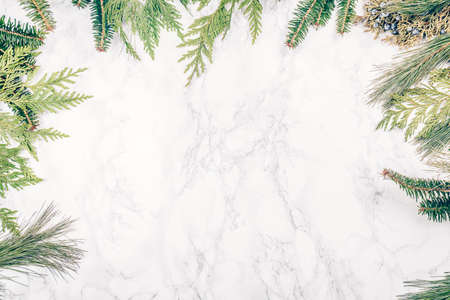 Various coniferous plants branches on white marble background. Holiday season concept. Horizontal