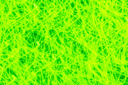 Futuristic blurred lights holiday monochrome background in bright green neon. Horizontal, soft focusの写真素材