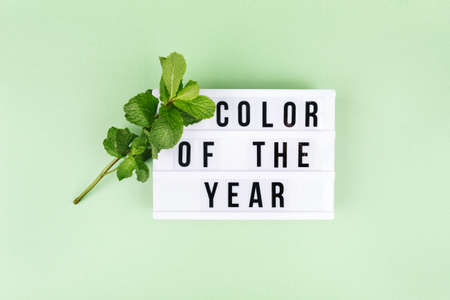 Retro lightbox with Color of the year wording and a mint stem on the trendy solid green backdrop, place for textの写真素材