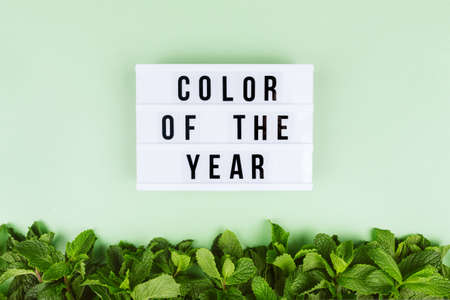 Retro lightbox with Color of the year wording on the trendy solid green backdrop with fresh mint...