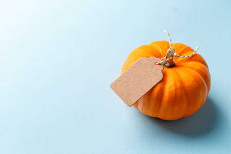 Mini orange pumpkin with the cardboard tag on the blue paper background. Fall, gifting and Thanksgiving concept. Soft focusの写真素材