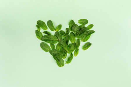 Heart made of mint leaves on the trendy solid green backdrop, ecology concept, flat lay style