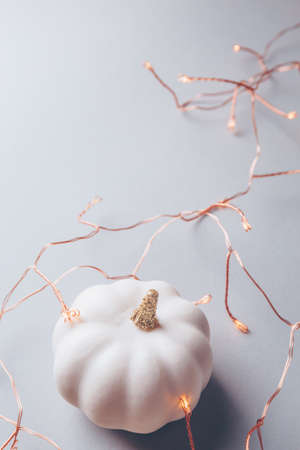 Decorative pumpkin on the grey paper background with holiday copper lights garland. Fall, gifting and Thanksgiving concept. Soft focusの写真素材