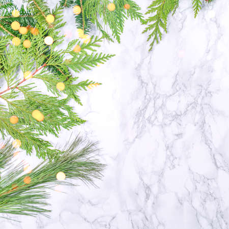 Various coniferous plants branches on white marble background with festive bokeh lights. Holiday season concept. Squareの写真素材