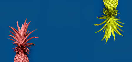 Creatively toned pineapples at the blue solid drop with place for text. Trendy modern colorful background. Horizontal, banner formatの写真素材