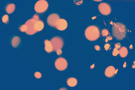 Classic blue background with soft pastel bokeh lights. Holiday, Christmas and New Year background. Horizontalの写真素材