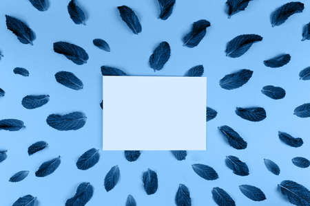 Blank white card and mint leaves pattern on the trendy solid classic blue backdrop, place for text, tonedの写真素材
