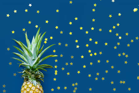Pineapple at the blue solid drop with place for text. Trendy modern colorful background. Horizontal...