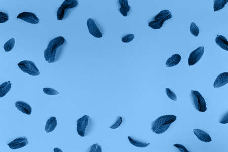 Mint leaves random pattern on the trendy solid classic blue backdrop, place for text, tonedの写真素材
