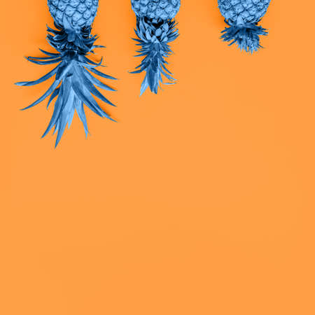 Creatively blue toned pineapples at the orange solid drop with place for text. Trendy modern duotone background. Squareの写真素材