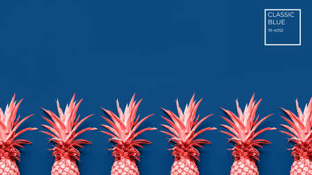 Creatively toned pineapples at the classic blue solid drop with place for text. Trendy modern duotone background. Horizontal with color tagの写真素材