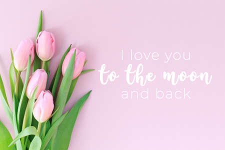 I love you to the moon and back wording with pink tulips on the pink background. Flat lay, top view. Valentines and Mothers Day background.. Horizontal, banner formatの写真素材