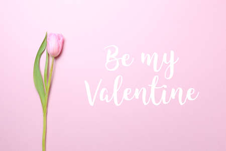 Be my Valentine wording with pink tulips on the pink background. Flat lay, top view. Valentines background. Horizontalの写真素材