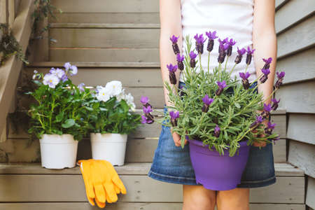 Girl holding lavender pot at the backyard stairs with white viola plants. Child family gardening conceptの写真素材