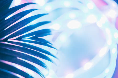 Futuristic blurred neon drop in blue and pink with traces of palm greenery, place for text, easy cut to bannerの写真素材