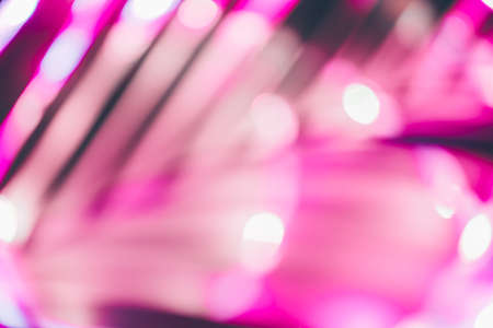 Futuristic blurred neon drop in beige and pink with traces of palm greenery, place for text, easy cut to bannerの写真素材