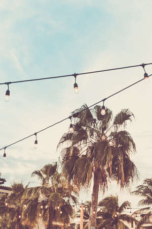 Trendy outdoor bulb garlands in tropical setting with palms in the background. Tropical evening setting, cozy holiday and event concept. Toned image with place for textの写真素材