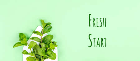 White envelope with mint leaves on the trendy solid green backdrop, with Fresh start wording, banner...