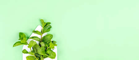 White envelope with mint leaves on the trendy solid green backdrop, place for text, banner formatの写真素材