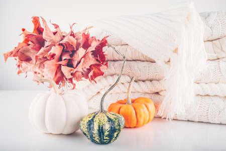 Fallen leaves in a vase with pile of white knitted woolen clothes and assorted pumpkins. Autumn, fall, beautiful nature , cozy home conceptの写真素材