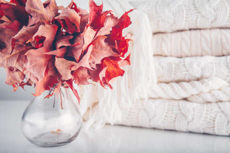 Fallen leaves in a vase with pile of white knitted woolen clothes. Autumn, fall, beautiful nature , cozy home concept. Close upの写真素材