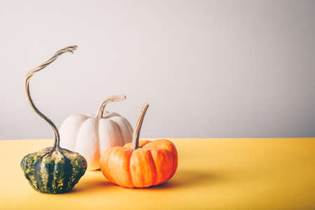 Assorted pumpkins on the grey and yellow drop. Fall coming conceptの写真素材