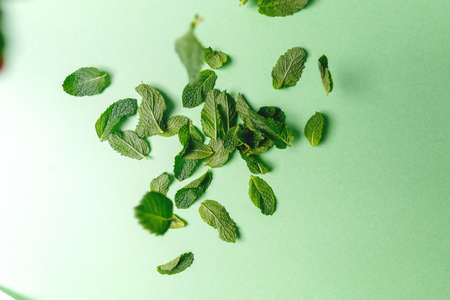 Mint leaves falling to the trendy solid green backdrop, ecology and messthetics concept, moody uneven lightの写真素材