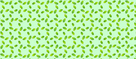 Pattern with mint leaves on the trendy solid green backdrop, ecology concept, Horizontal banner formatの写真素材