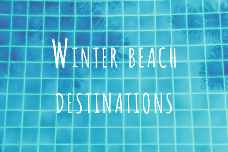 Palm trees reflection in the turquoise pool. Multipurpose backdrop. Luxuty vacation, relaxation, swimming concept. Toned image with Winter beach destinations wordingの写真素材