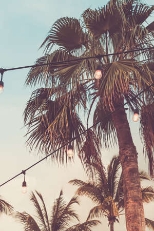Trendy outdoor bulb garlands in tropical setting with palms in the background. Tropical evening setting, cozy holiday and event concept. Toned image with place for textの写真素材