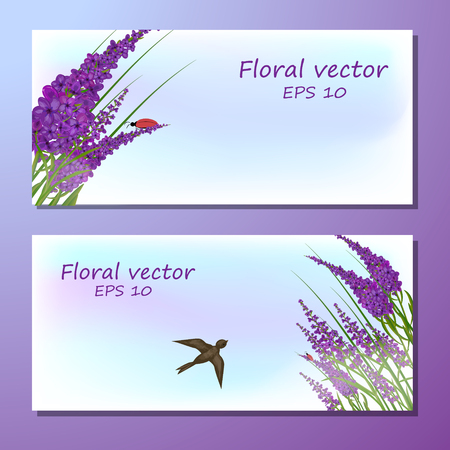 Three banners with the image of lavender fieldのイラスト素材